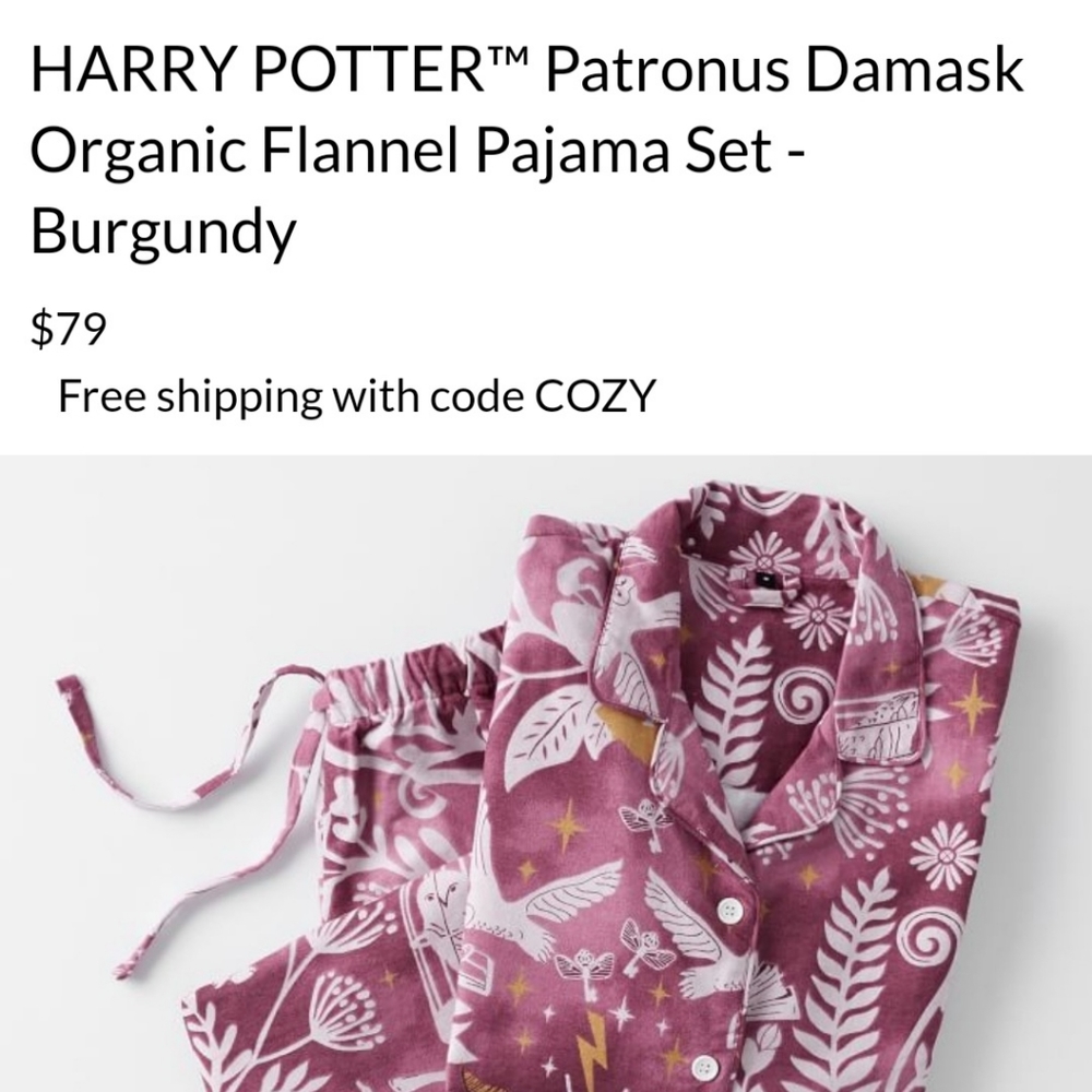 Harry Potter Pottery Barn Teen Pajamas